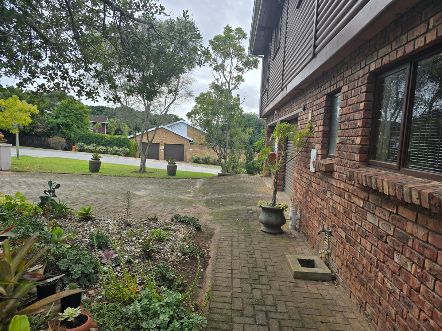 356454426.jpg