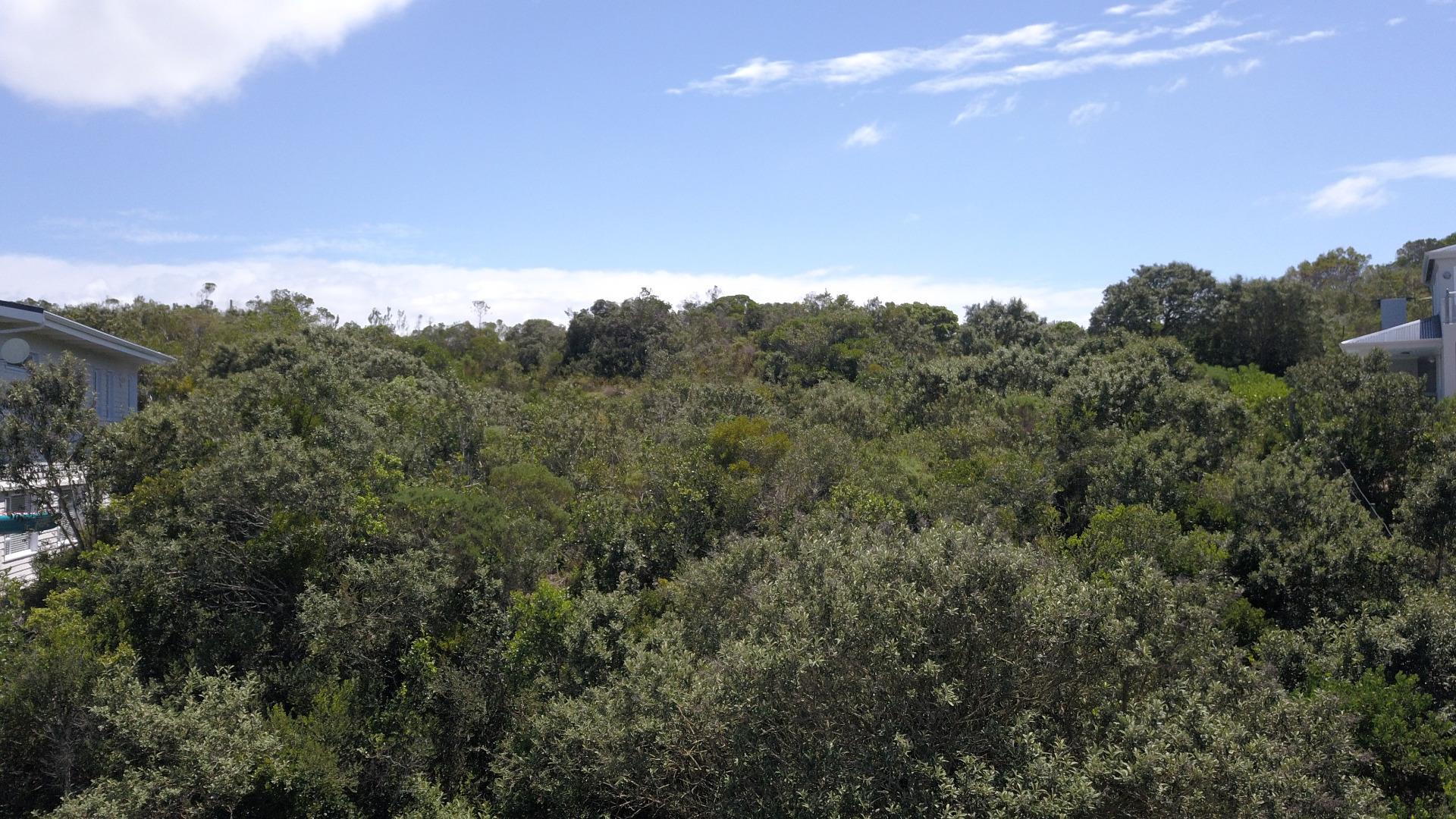 751888_DJI_0492.JPG