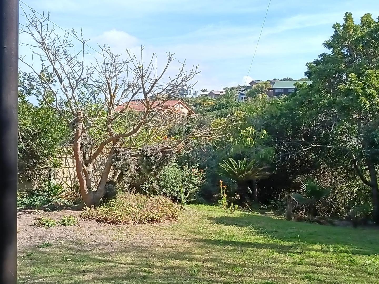 753699_17.jpg