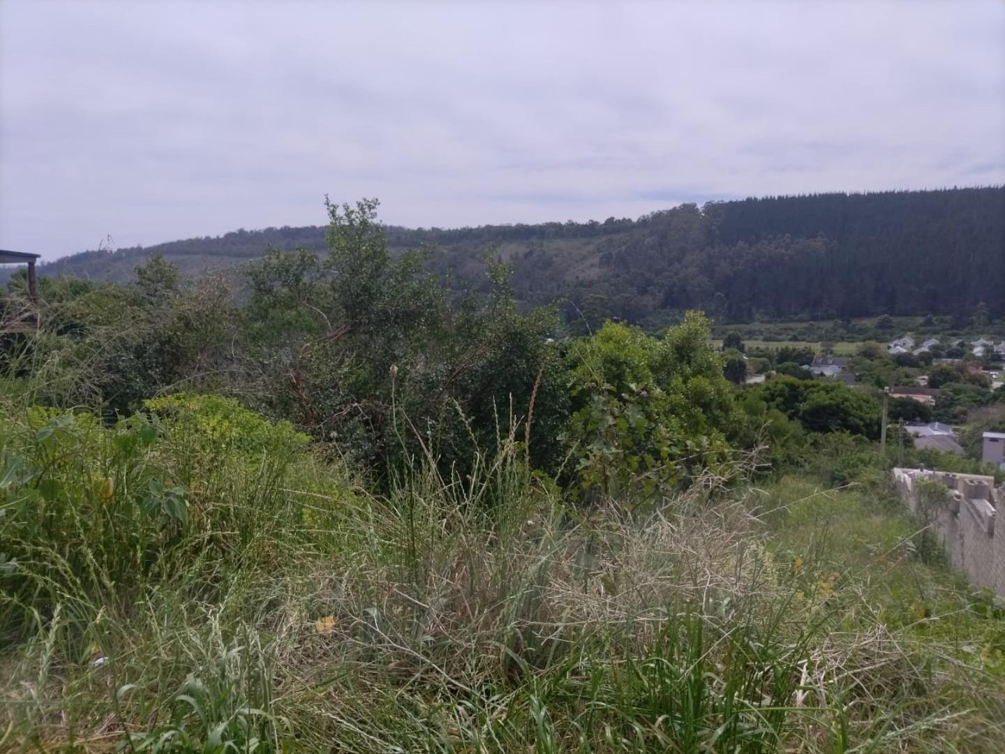 769339_IMG-20261014-WA0027.jpg